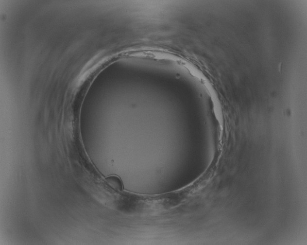 X0000077360295200611031853