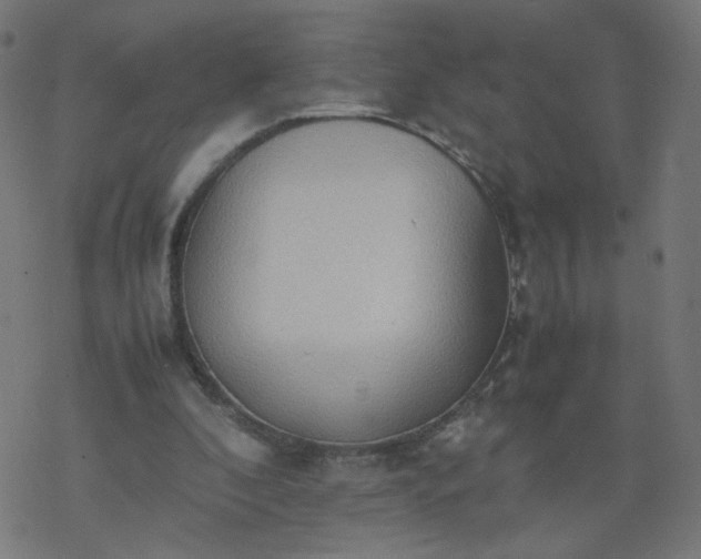 X0000077360296200611031853