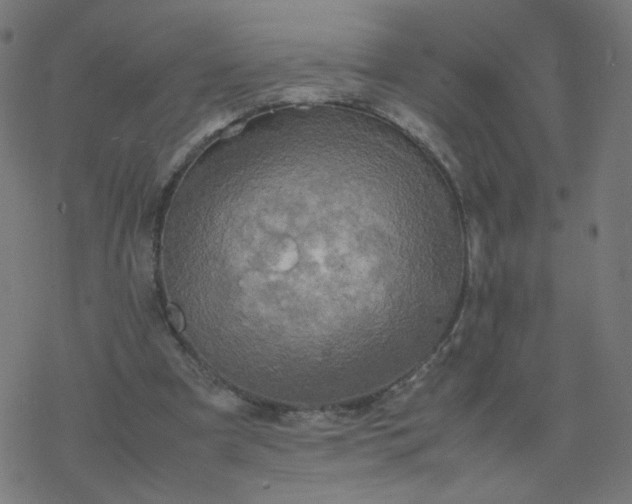 X0000077360297200611031853