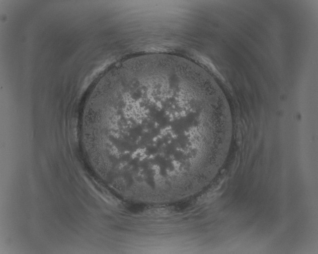 X0000077360299200611031853