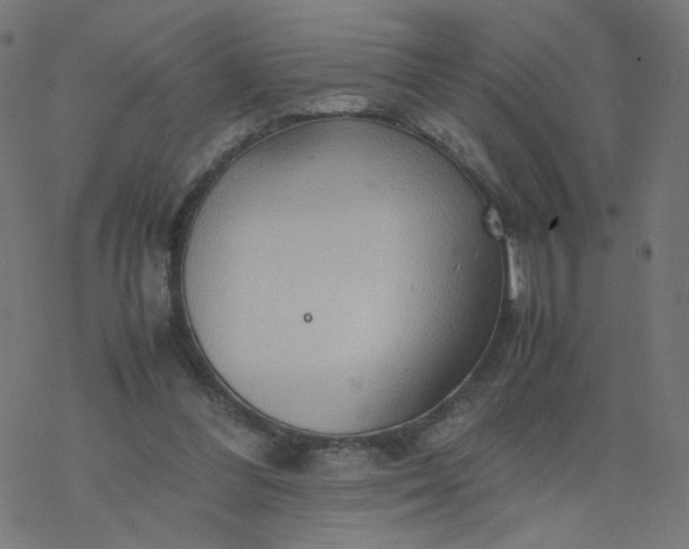 X0000077360300200611031853