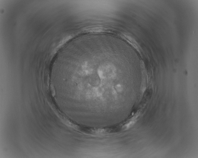 X0000077360301200611031853