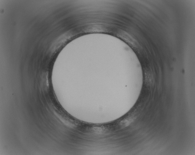 X0000077360302200611031853