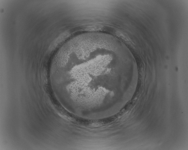 X0000077360303200611031853