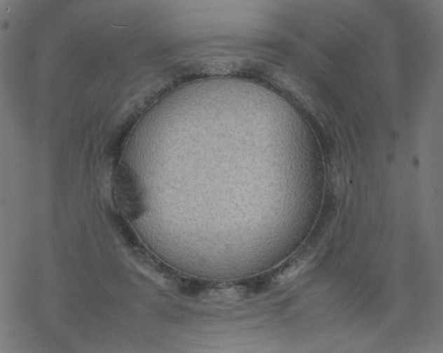 X0000077360307200611031853