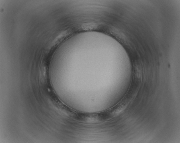 X0000077360308200611031853