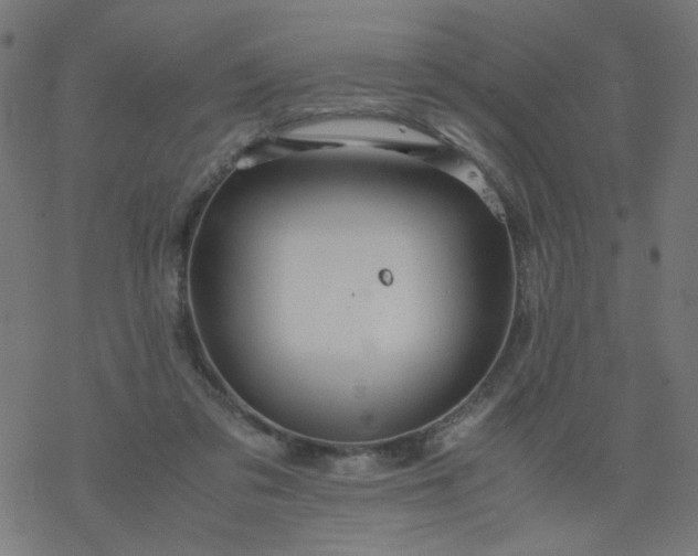 X0000077360309200611031853