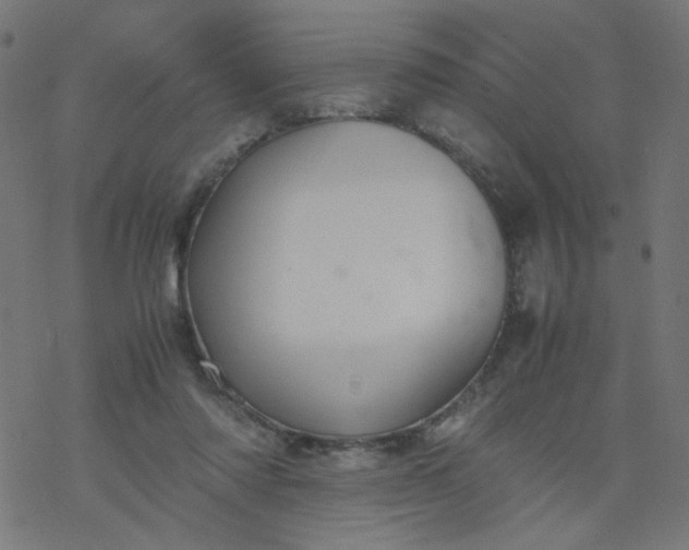 X0000077360310200611031853