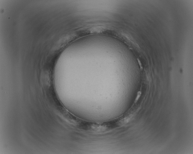 X0000077360311200611031853