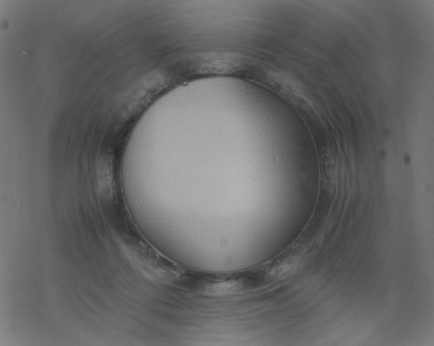 X0000077360312200611031853