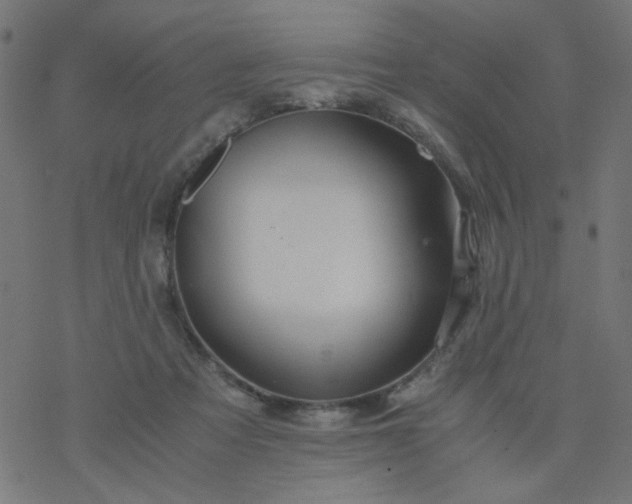 X0000077360313200611031853