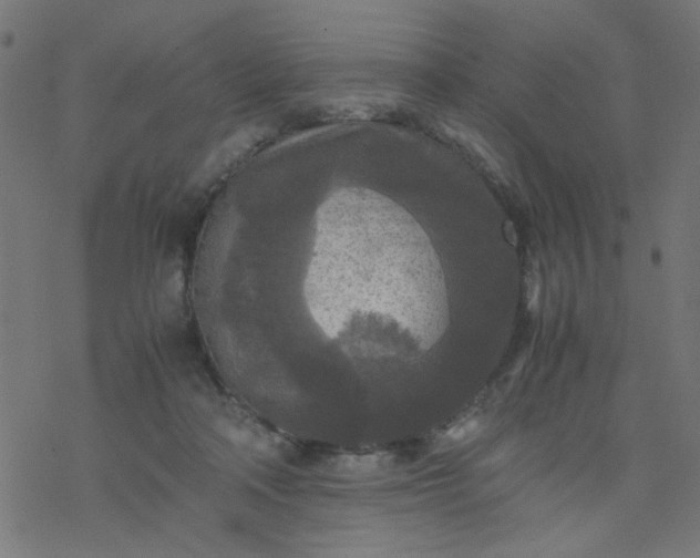 X0000077360314200611031853