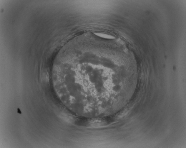 X0000077360315200611031853