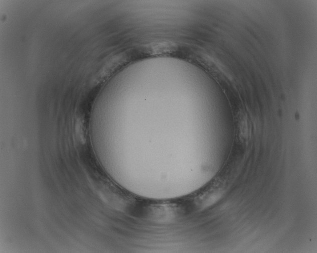 X0000077360316200611031853