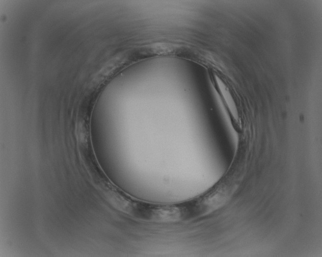 X0000077360317200611031853