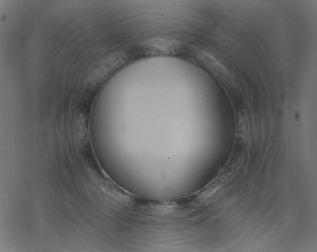 X0000077360318200611031853