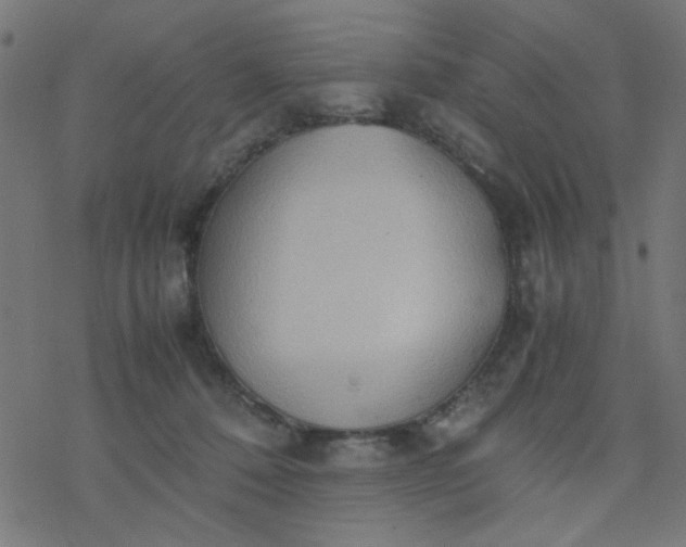 X0000077360320200611031853