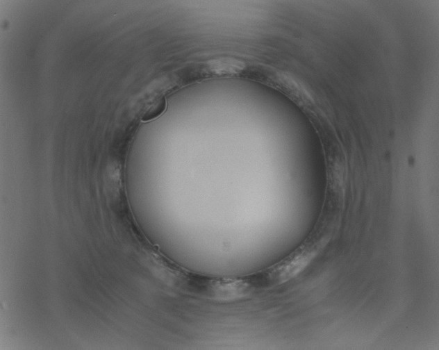 X0000077360321200611031853