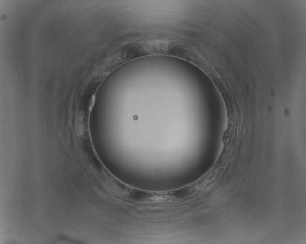 X0000077360323200611031852