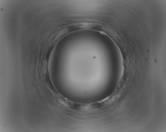 X0000077360325200611031852