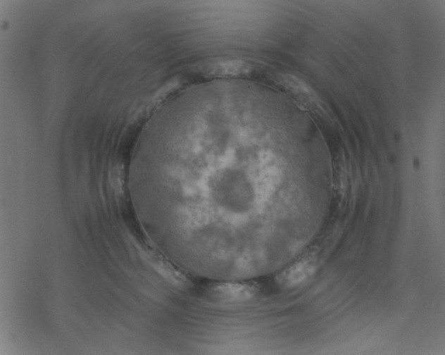 X0000077360326200611031852