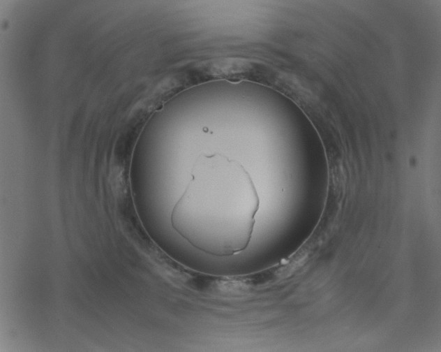 X0000077360327200611031852