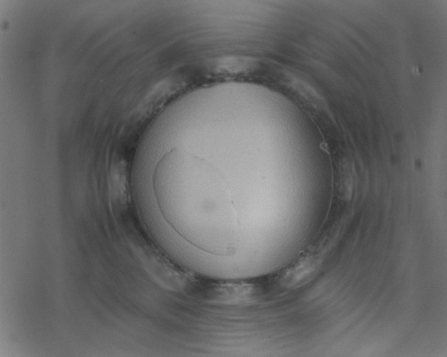 X0000077360328200611031852