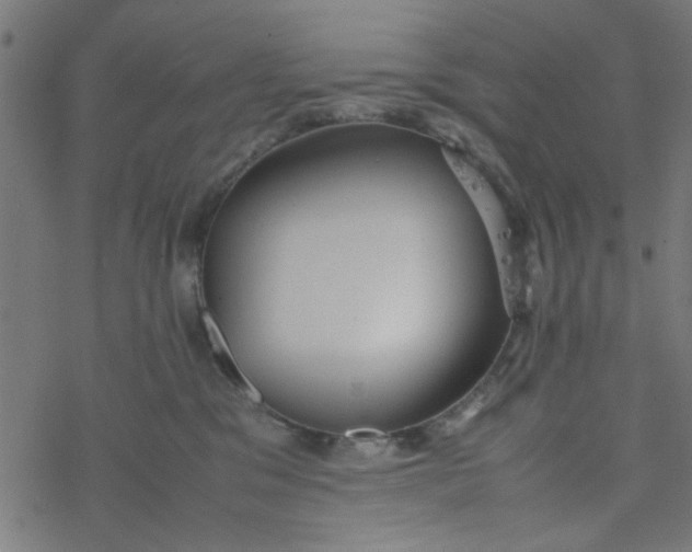 X0000077360329200611031852