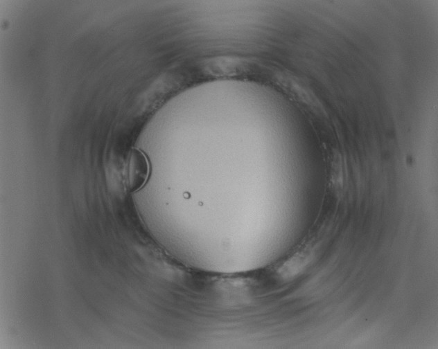 X0000077360332200611031852