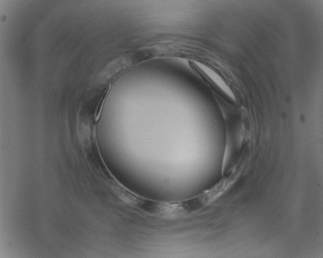 X0000077360333200611031852