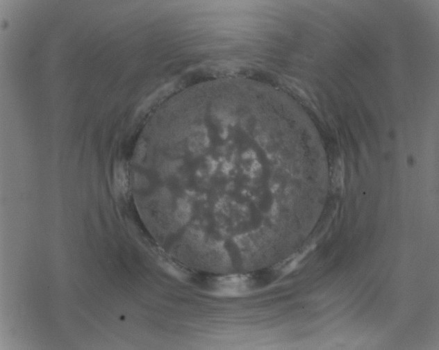 X0000077360335200611031852