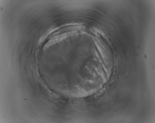 X0000077360337200611031851