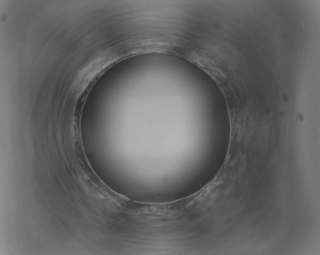 X0000077360338200611031851