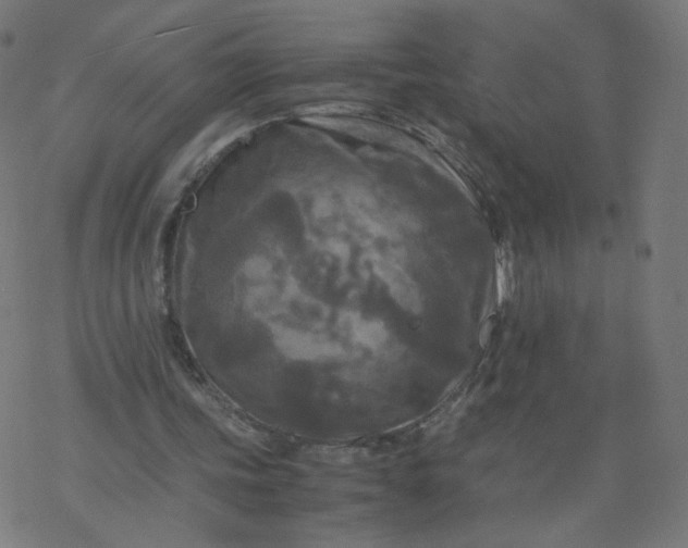 X0000077360339200611031852