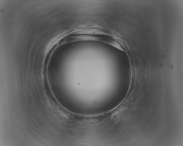 X0000077360340200611031852