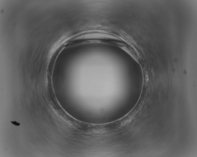 X0000077360344200611031852