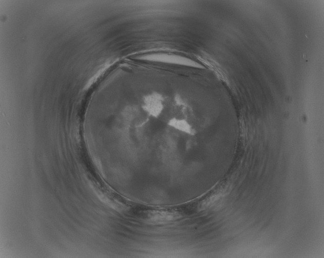 X0000077360347200611031852