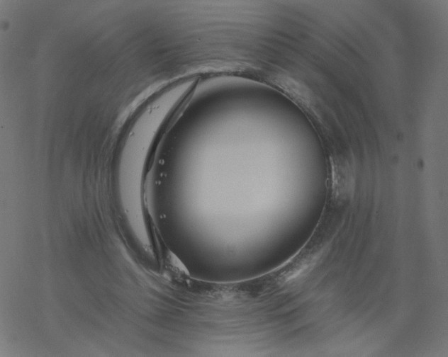 X0000077360348200611031852