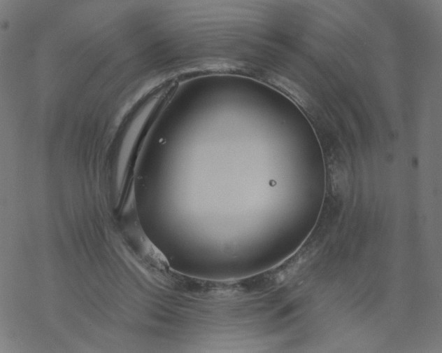 X0000077360350200611031852