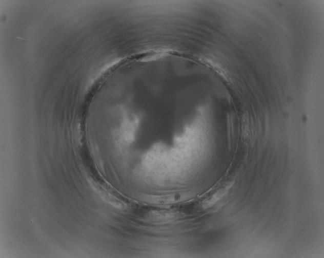 X0000077360351200611031852