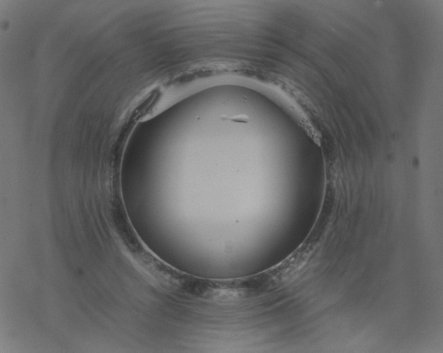 X0000077360352200611031852