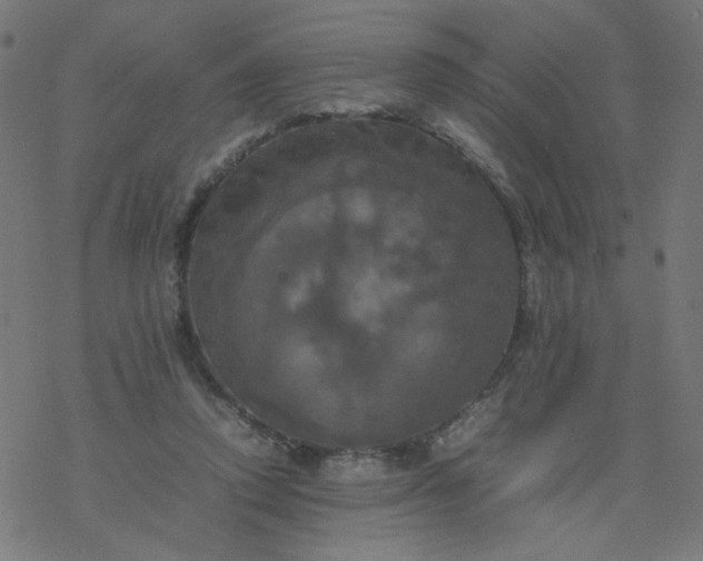 X0000077360354200611031852