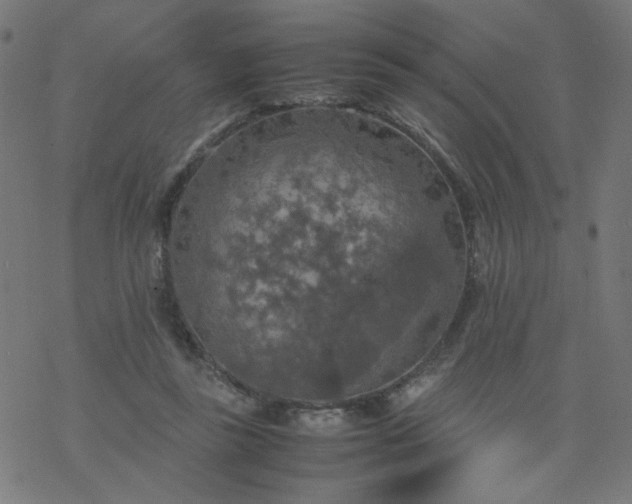 X0000077360355200611031852