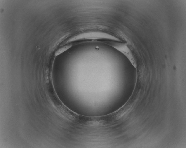 X0000077360356200611031852