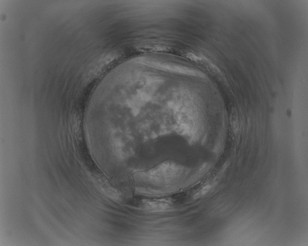 X0000077360359200611031852