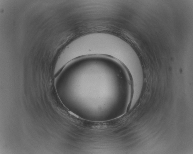 X0000077360362200611031852