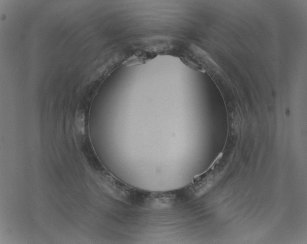 X0000077360368200611031852