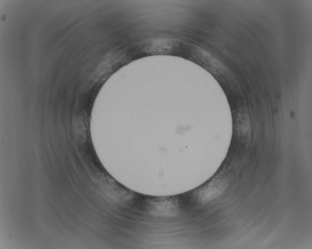 X0000077360370200611031852