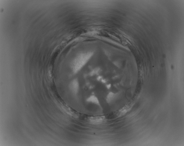 X0000077360373200611031852