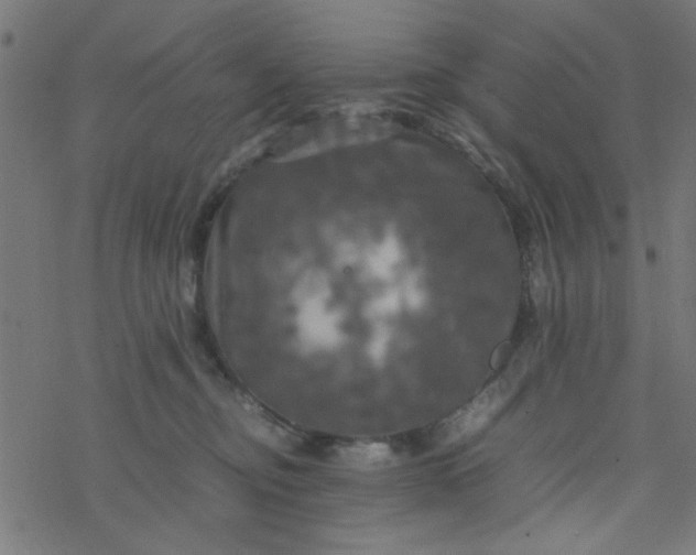 X0000077360374200611031852